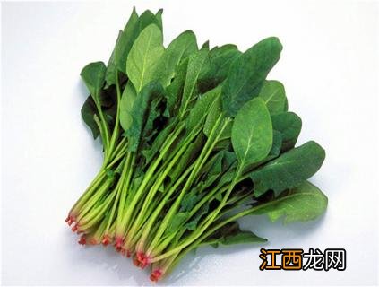 菠菜和奶可以一起吃吗 奶跟菠菜可以一起吃吗