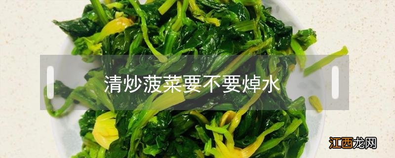 菠菜清炒需要焯水吗 清炒菠菜要不要焯水