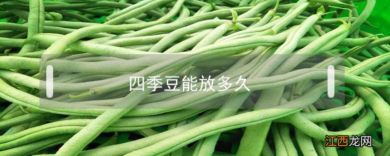 四季豆能放多久? 四季豆能放多久