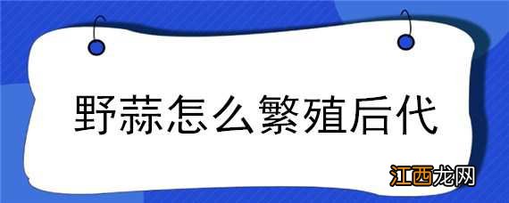 野蒜怎么繁殖后代图片 野蒜怎么繁殖后代