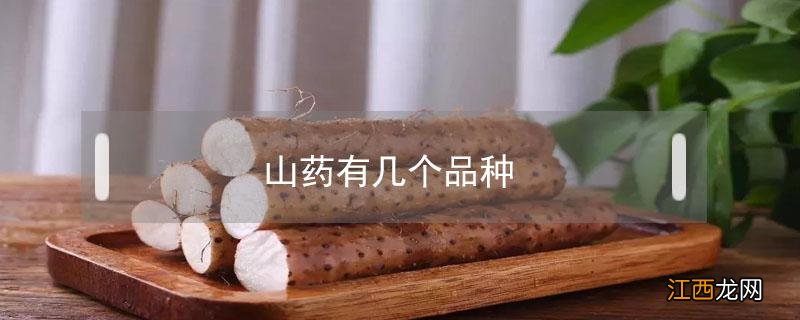 山药有几个品种 山药有几个品种挺粗的是哪种