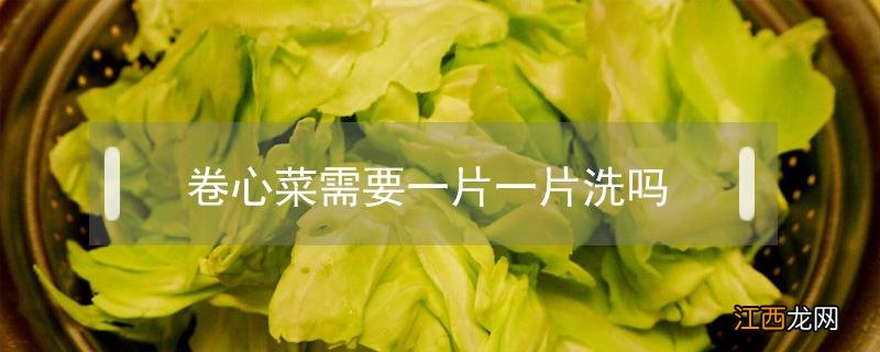 卷心菜先切再洗还是先洗 卷心菜需要一片一片洗吗