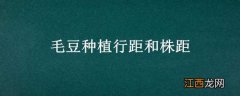 毛豆种植行距和株距是多少 毛豆种植行距和株距