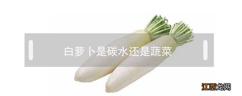 白萝卜是碳水还是蔬菜 青萝卜是碳水还是蔬菜