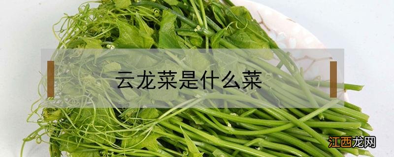 云龙菜是什么菜 云龙菜又叫什么