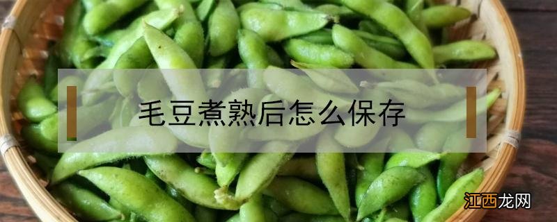 毛豆煮熟后怎么保存 煮好的毛豆怎么储存保持新鲜