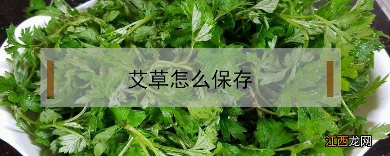 艾草怎么保存能长久 艾草怎么保存