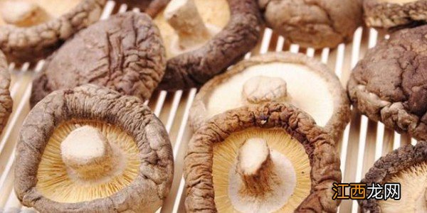 包菜香菇包子馅怎么调 包菜香菇包子馅怎么调 九州