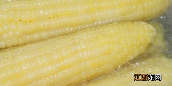 糯玉米蒸多久好吃 糯玉米蒸多久