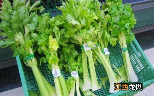西芹算发物吗 西芹是发物吗