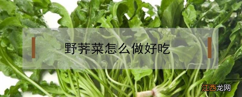 野菜荠菜的吃法 野荠菜怎么做好吃