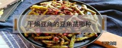 干煸豆角豆角是什么豆角 干煸豆角的豆角是哪种