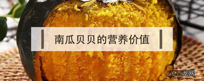 南瓜贝贝的营养价值 南瓜贝贝的营养价值功效与作用