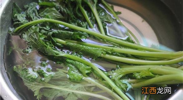 雪里红酸菜的制作方法和过程 雪里红怎么腌制成酸菜