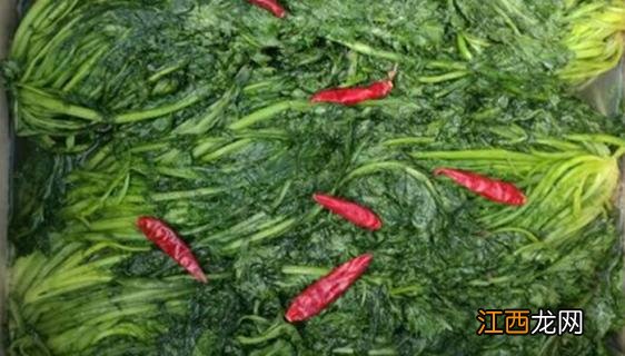 雪里红酸菜的制作方法和过程 雪里红怎么腌制成酸菜