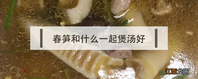 春笋和什么一起煲汤好 春笋和什么一起吃好