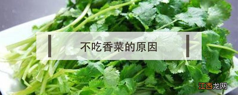 不吃香菜的原因 有人不吃香菜的原因