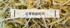 豆芽根能吃吗 自己在家发的绿豆芽根能吃吗