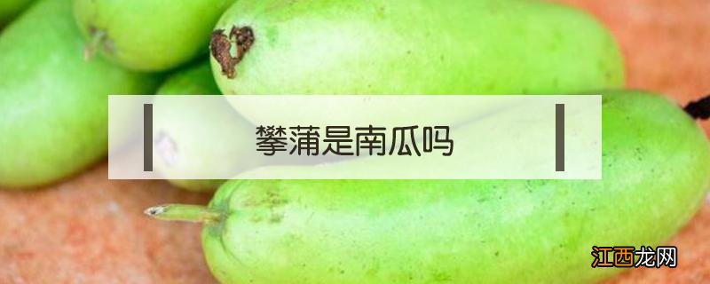 攀蒲是南瓜吗 南瓜属于攀缘茎吗