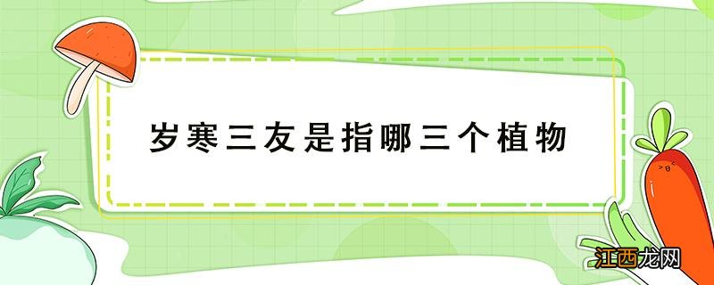 岁寒三友是指哪三个植物 岁寒三友是指哪三个植物四君子