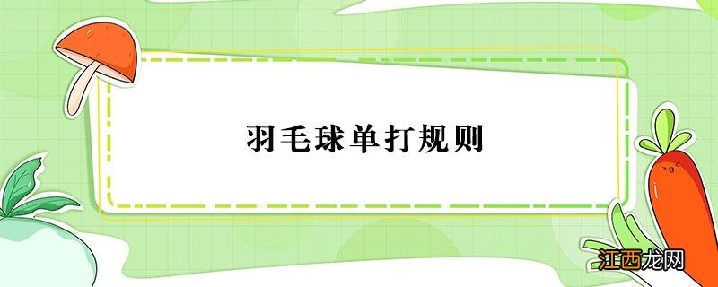 羽毛球单打规则边界 羽毛球单打规则