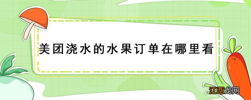 美团浇水的水果订单在哪里看 美团浇水水果怎么查快递