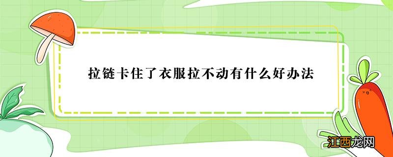 口袋拉链卡住了衣服拉不动有什么好办法 拉链卡住了衣服拉不动有什么好办法