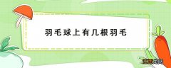 羽毛球上有几根羽毛 羽毛球上有几根羽毛球