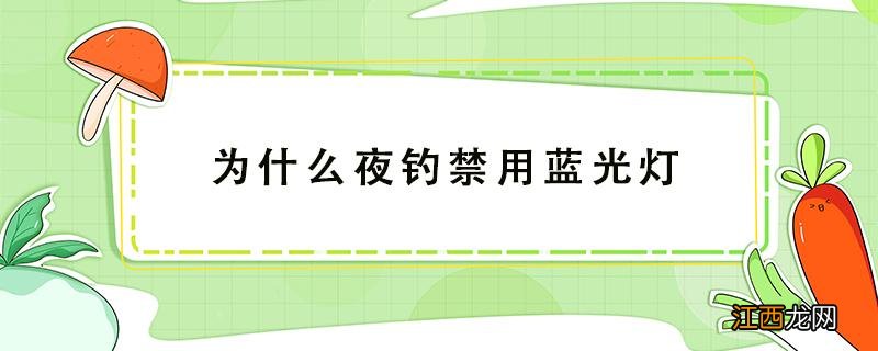 夜钓蓝光灯有什么讲究 为什么夜钓禁用蓝光灯