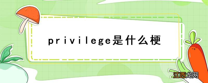 privilege是什么梗知乎 privilege是什么梗