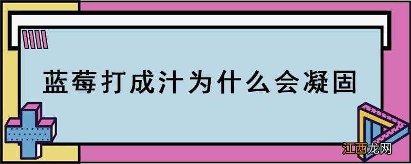 蓝莓打成汁为什么会凝固 蓝莓榨汁为什么会凝固