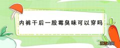 内裤干后一股霉臭味可以穿吗 内裤洗完有霉味