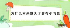 为什么水果放久了会有小飞虫 水果放一段时间有小飞虫