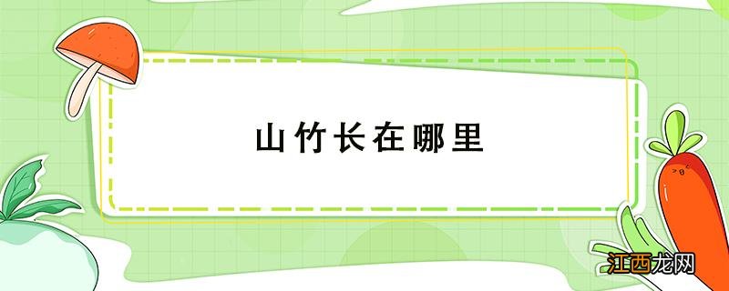 山竹长在哪里的图片 山竹长在哪里