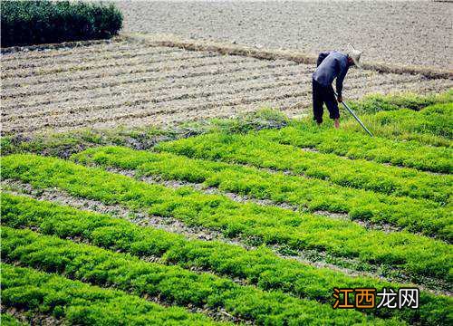 修订草案 2021《中华人民共和国土地管理法实施条例》通过！主要修订了哪些内容？