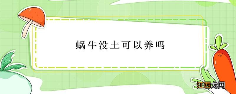 蜗牛没土可以养吗 野生蜗牛没有土可以养吗