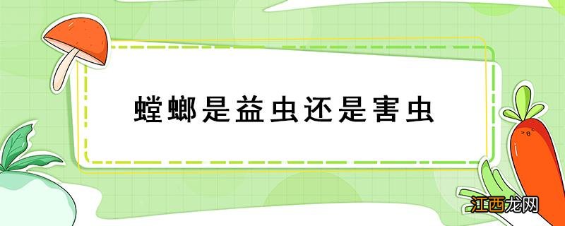 螳螂是益虫还是害虫为什么是益虫 螳螂是益虫还是害虫