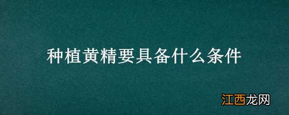 种植黄精要具备什么条件 种植黄精要具备什么条件才能发芽