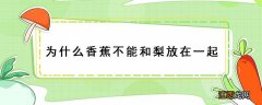 梨和香蕉放一起会怎么样 为什么香蕉不能和梨放在一起