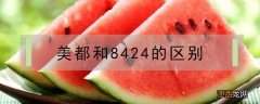 美都与8424怎么区分 美都和8424的区别