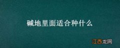 碱地里面适合种什么果树 碱地里面适合种什么