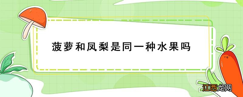 菠萝和凤梨是同一种水果吗? 菠萝和凤梨是同一种水果吗