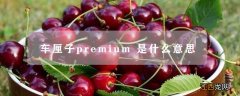 车厘子的功效和作用 车厘子premium