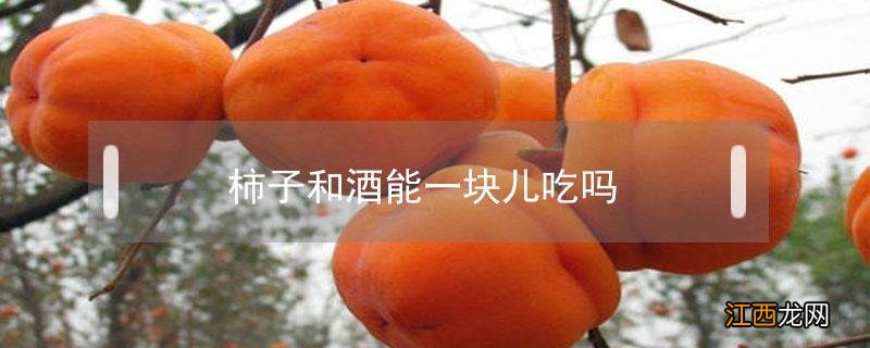 柿子和酒能一块儿吃吗 柿子和酒能不能一块儿吃