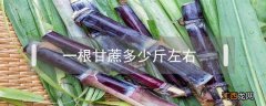 一根甘蔗多少斤左右多少钱 一根甘蔗多少斤左右