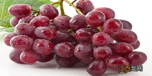 提子有籽吗 马奶提子有籽吗