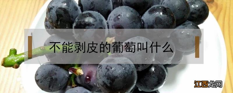 可以剥皮的葡萄 不能剥皮的葡萄叫什么