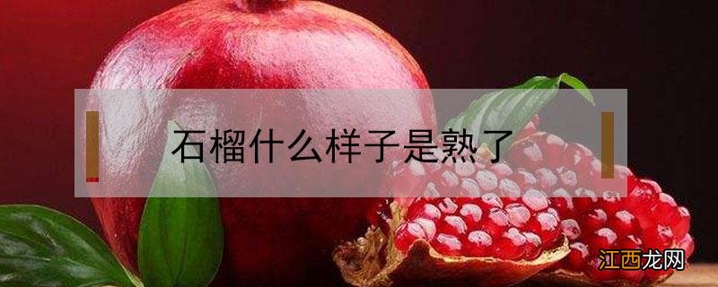 石榴什么样子是熟了图片 石榴什么样子是熟了