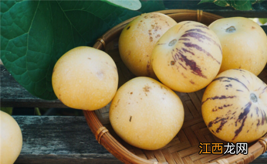 人参果为什么 人参果真的存在吗