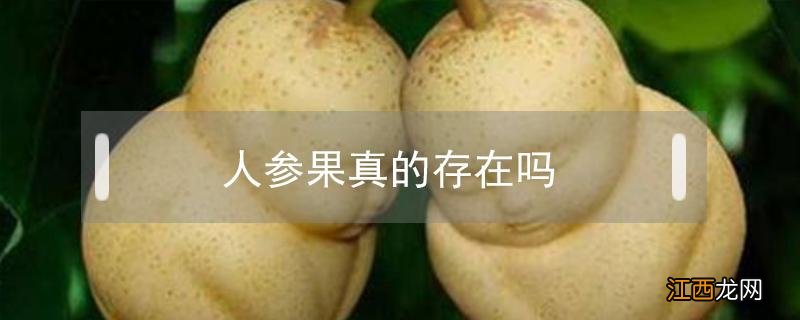 人参果为什么 人参果真的存在吗